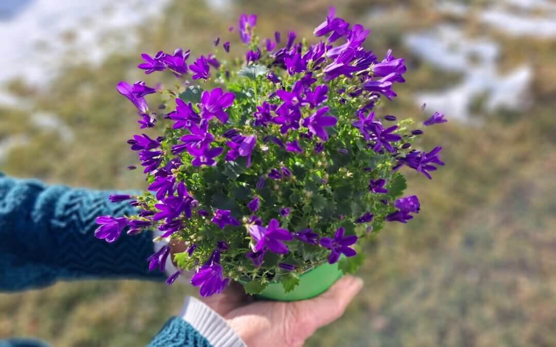 Fürsorge – ein Geben und Nehmen