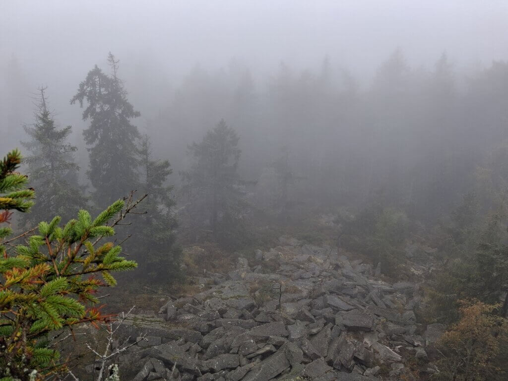 Nebel