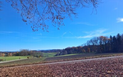 Weitsicht ist gefragt