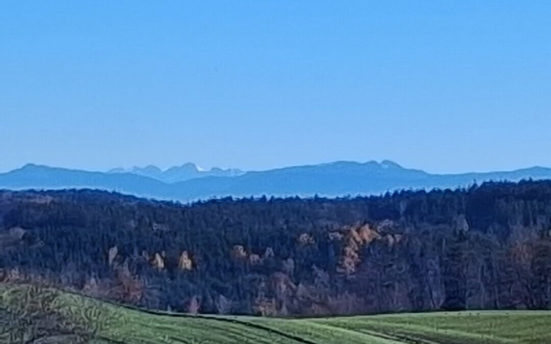 Weitsicht ist gefragt