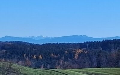 Weitsicht ist gefragt